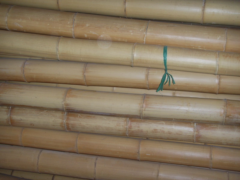 Bamboo pole-2