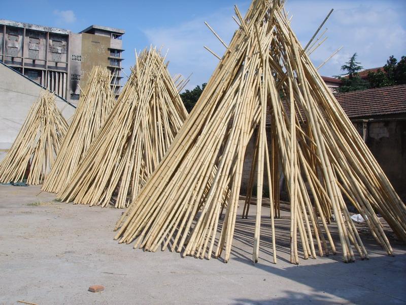 Bamboo pole-1